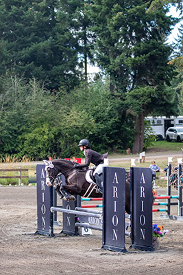 A young girl riding her horse over a jump.