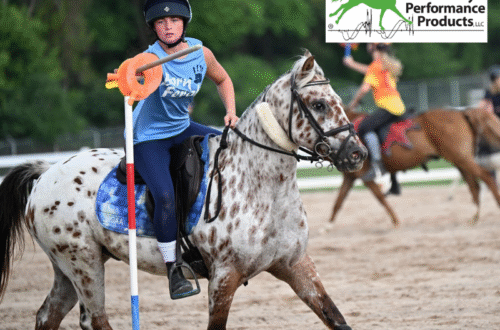 A young girl riding her pony, smiling.