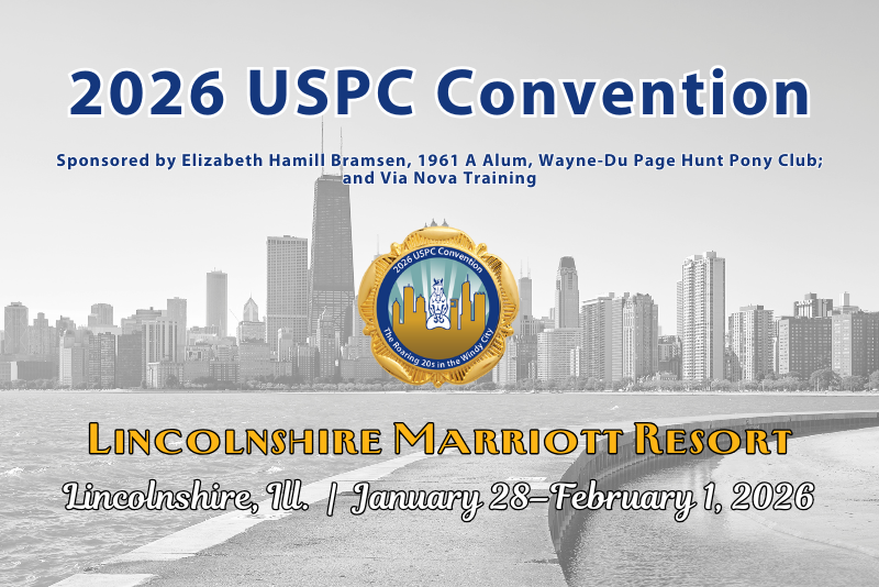 Pony Club Now Blog and News Pony Club Now Blog and News