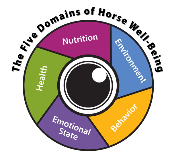 The Five Domains of Horse Well-Being Graphic with rounded header in UPSC Curriculum