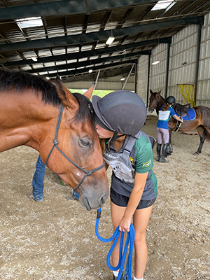 A young girl kissing her horse on the nose