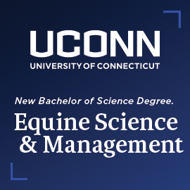 uconn-equine-science-degree