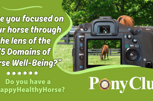 Question about focusing through the lens