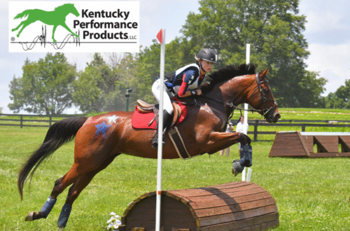 A young girl riding her horse over a cross-country jump
