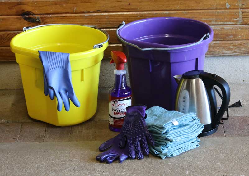 Buckets, no-rinse shampoo, washcloths, grooming gloves, dish gloves, and a pitcher to boil water - ingredients for hot toweling a horse