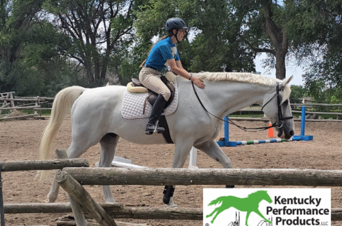A young woman, Audrey Ditlefsen, in an arena on a gray horse.