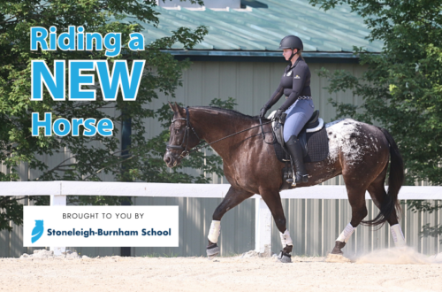 Horseback-rider-with-text-riding-a-new-horse