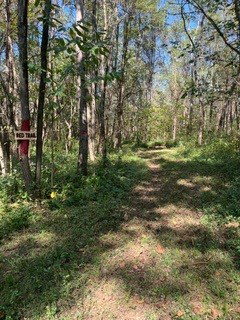 well maintained equestrian trail