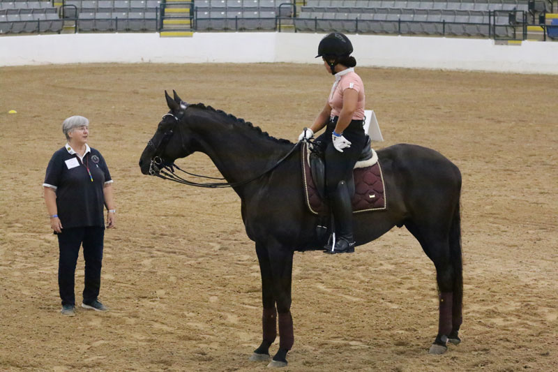 Clinician Lendon Gray instructs a dressage rider.