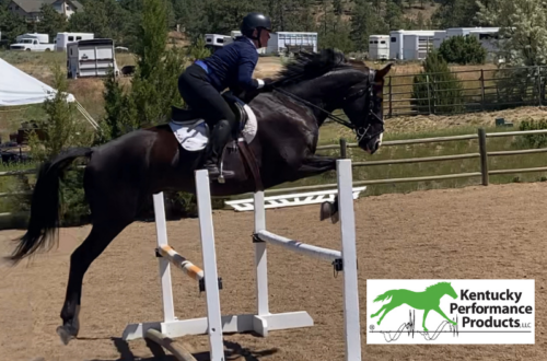 A woman riding a horse over a jump.