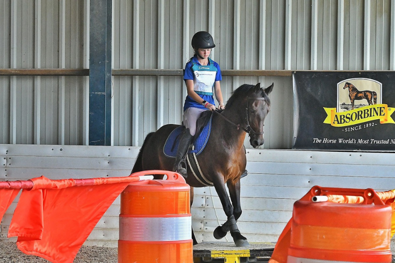 horseback rider rides through orange construction barrier