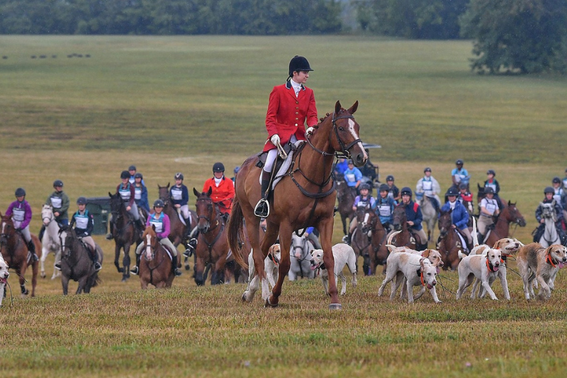 group-of-foxhunters-on-horseback