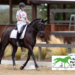 A young woman riding a horse in a dressage ring.