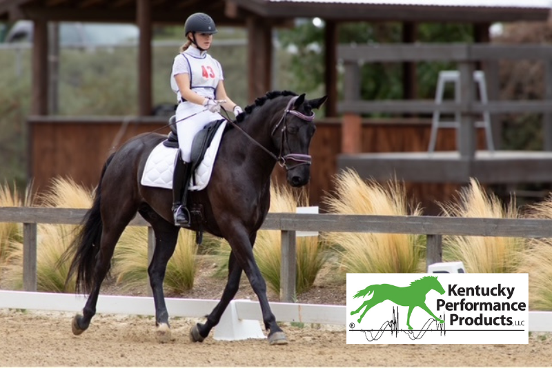 A young woman riding a horse in a dressage ring.