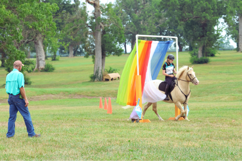 horseback-rider-going-through-trail-obstacle