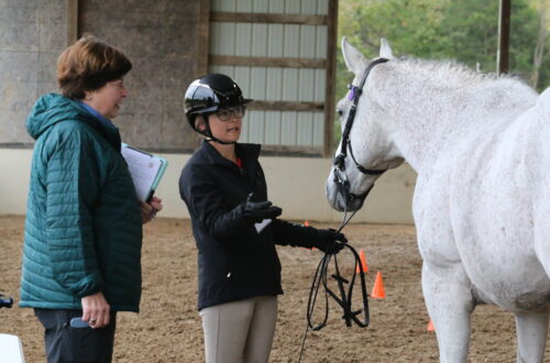A young woman explaining to an older woman about her horse.