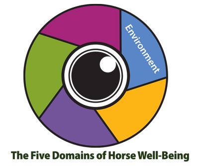 Environment Domain Graphic