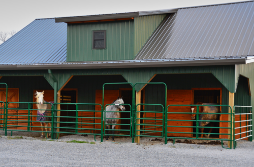 Horse Housing