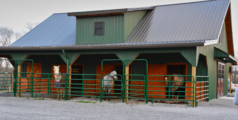 Horse Housing