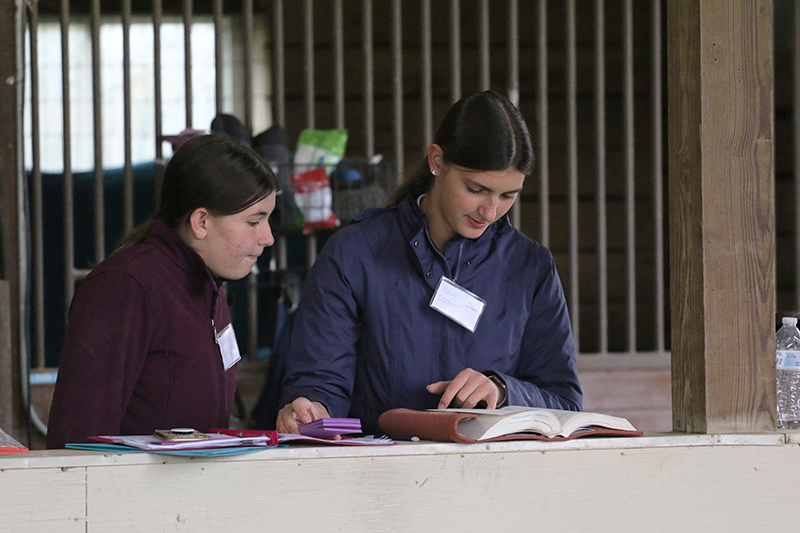 Two young woman studying a book.