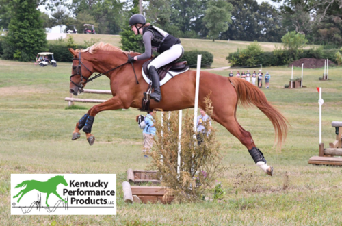 A woman riding a horse over a cross-country jump.