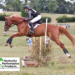 A woman riding a horse over a cross-country jump.