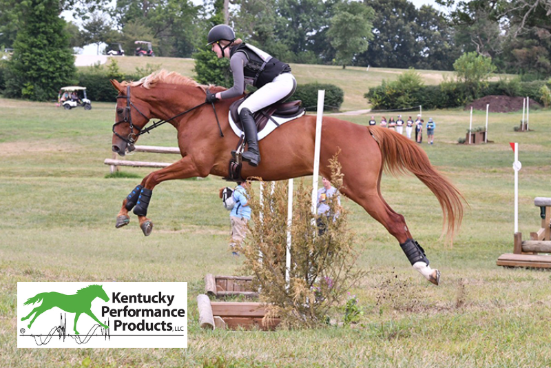 A woman riding a horse over a cross-country jump.