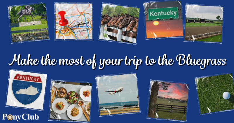 Lexington Restaurants and Attractions Graphic