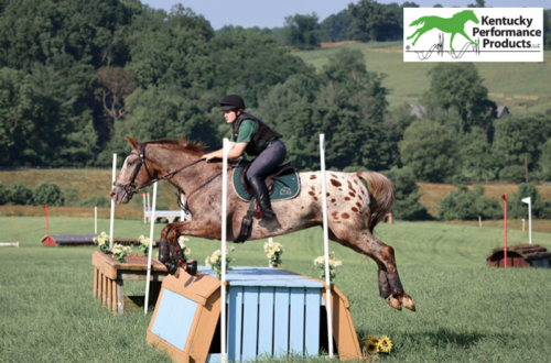 A young adult riding their horse over a cross-country jump