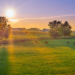 A scenic shot of horses out in a pasture.
