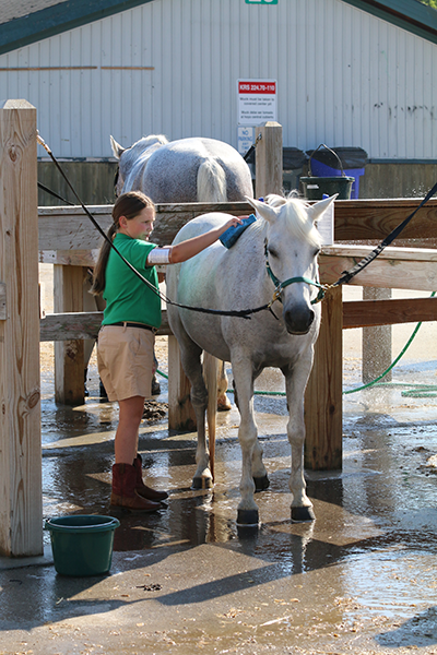 A horse that rests or relaxes during a bath or grooming could be a sign that he is enjoying the process.