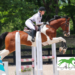 A young woman jumping her horse over a show jump.