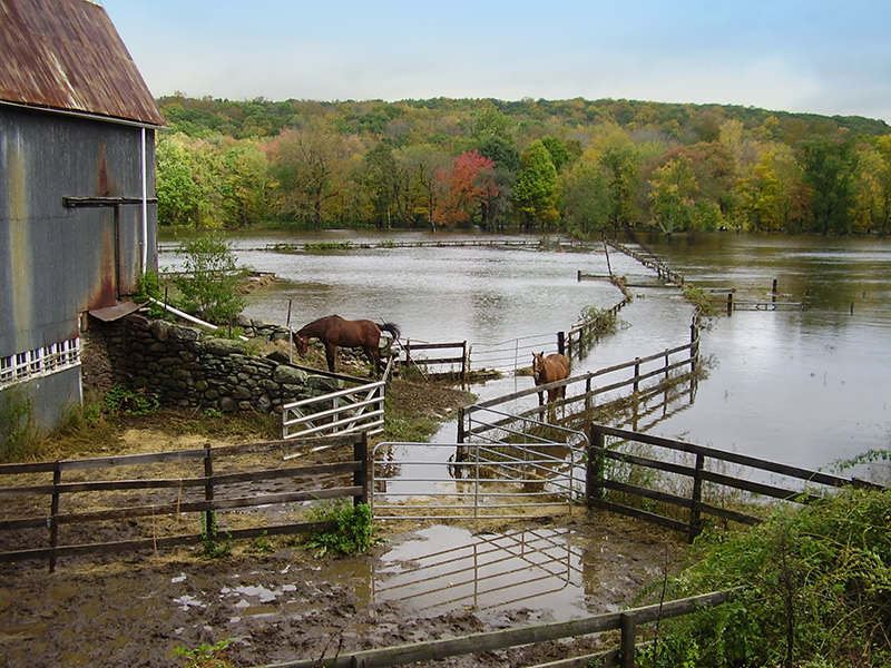 A flooded farm.
