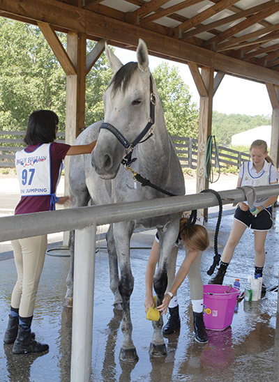 A group of kids bathing a horse.