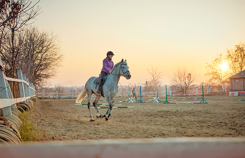 A woman riding a horse in an arena.