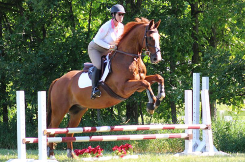 Person jumping for a blog on switch riding
