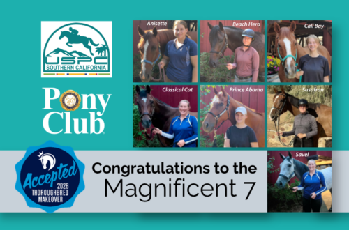 pony-club- magnificent-7-throughbred-makeover-2026
