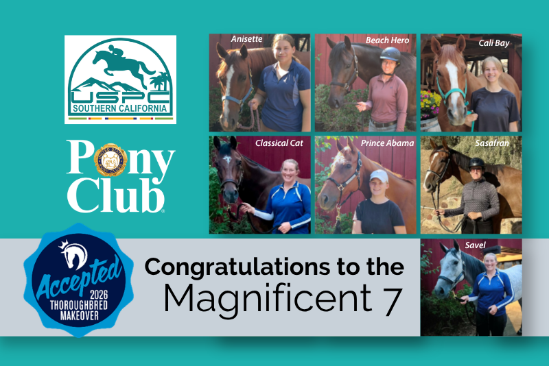 pony-club- magnificent-7-throughbred-makeover-2026