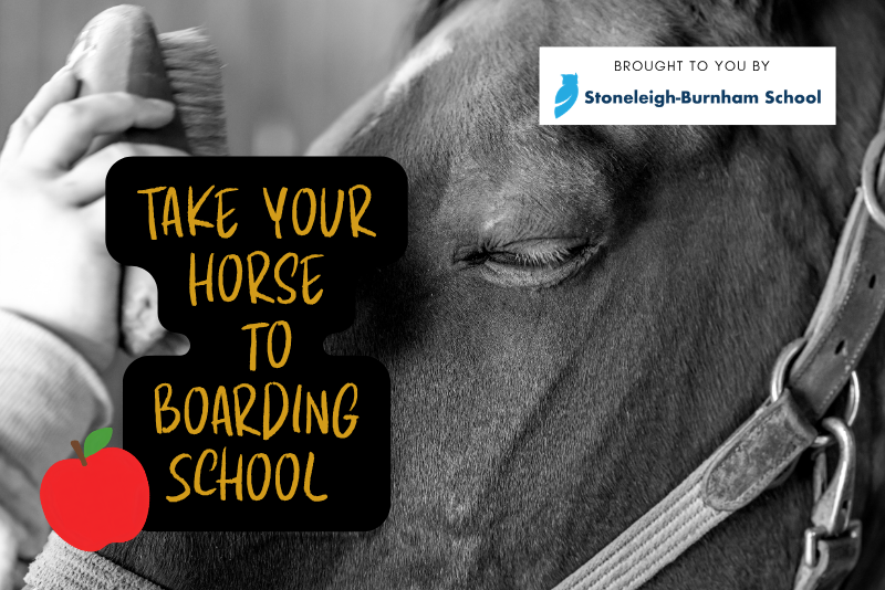 equestrian-boarding-school-girl-brushing-horse