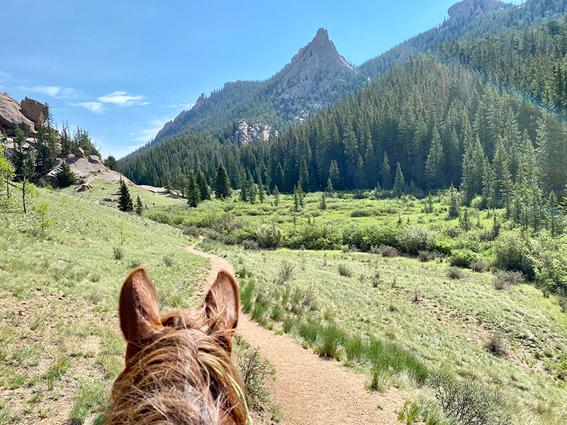 A picture taken behind the ears of a horse, looking at the trail in front of it.