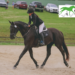 A woman riding her horse through an arena, patting the horse.