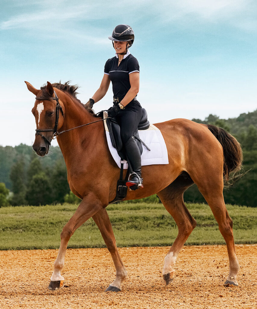 english-horse-rider