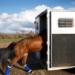 Tips for Staying in a Horse Hotel