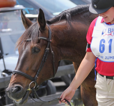 A young woman walking a horse, smiling at the horse.
