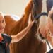 equine-care-team-horse-vet